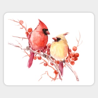 Cardinal Birds Sticker